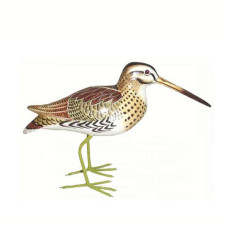 Wood Greenshank Bird 35 cm