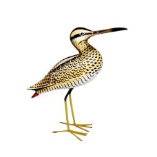 Wooden Greenshank Bird 29 cm