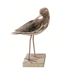 Wooden Curlew Preening Bird On Base 32 cm