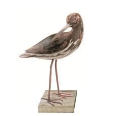 Wood Curlew Preening Bird On Base 32 cm
