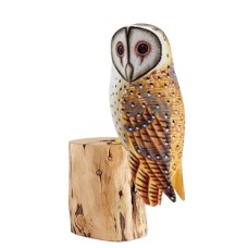 Wooden Barn Owl On Tree Stump 25 cm