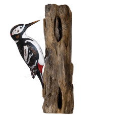 Wood Bird Great Spotted Woodpecker 25 cm