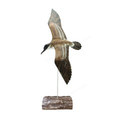 Wooden Flying Shearwater Birds On Wood Block 62 cm 