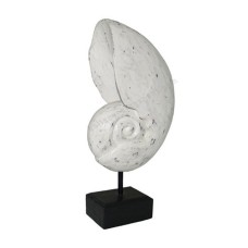 Wooden Decorative Shell With Stand White Wash 50 cm