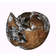 Reclaimed Teak Root Ball Irregular 40 cm