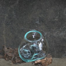 Fish Bowl Molten Glass On Driftwood 13 cm