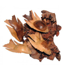Parasite Wood Four Fish 18 cm
