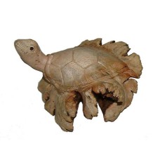Parasite Wood Single Turtle 5 cm