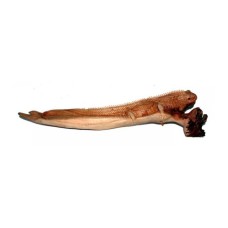 Parasite Wood Chameleon 55 cm