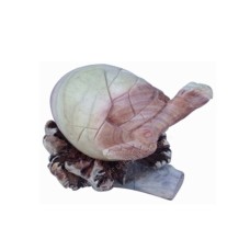 Parasite Wood Baby Turtle 17 cm