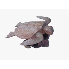 Parasite Wood Single Turtle 33 cm