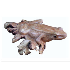 Parasite Wood Frog Sculpture 12 cm