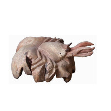 Parasite Wood Crab Large 25 cm